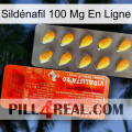 Sildénafil 100 Mg En Ligne new01